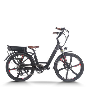 Step-Thru City E-bike Rear Rack Battery Integrated Wheels 350W Motor 36V 13Ah Battery OEM/ODM