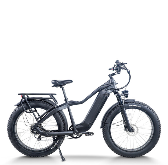 Fat Tire Electric Bike Hidden Battery Rear Hanger & Fender 500W-1000W Motor 48V 30Ah Battery OEM/ODM