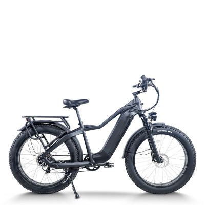 Fat Tire Electric Bike Hidden Battery Rear Hanger & Fender 500W-1000W Motor 48V 30Ah Battery OEM/ODM