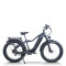 Fat Tire Electric Bike Hidden Battery Rear Hanger & Fender 500W-1000W Motor 48V 30Ah Battery OEM/ODM
