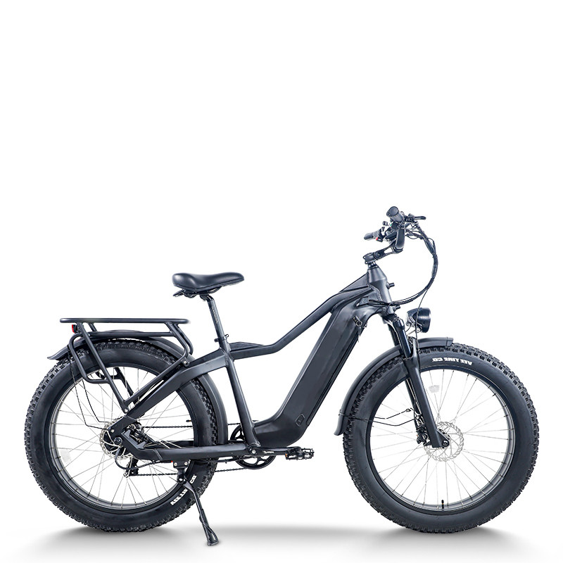 Fat Tire Electric Bike Hidden Battery Rear Hanger & Fender 500W-1000W Motor 48V 30Ah Battery OEM/ODM