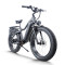 Fat Tire Electric Bike Hidden Battery Rear Hanger & Fender 500W-1000W Motor 48V 30Ah Battery OEM/ODM