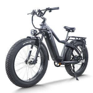 Fat Tire Electric Bike Hidden Battery Rear Hanger & Fender 500W-1000W Motor 48V 30Ah Battery OEM/ODM
