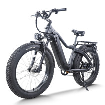Fat Tire E-Bike | All Terrain E bike | 750W E Mountain Bike AEB62A