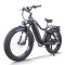 Fat Tire Electric Bike Hidden Battery Rear Hanger & Fender 500W-1000W Motor 48V 30Ah Battery OEM/ODM