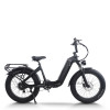 Step-Thru Fat Tire E-bike Hidden Battery Rear Hanger & Fender 500W-1000W Motor 48V Battery OEM/ODM