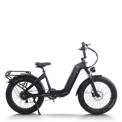 Step-Thru Fat Tire E-bike Hidden Battery Rear Hanger & Fender 500W-1000W Motor 48V Battery OEM/ODM