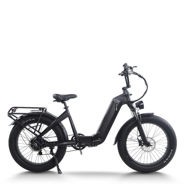 Step-Thru Fat Tire E-bike Hidden Battery Rear Hanger & Fender 500W-1000W Motor 48V Battery OEM/ODM