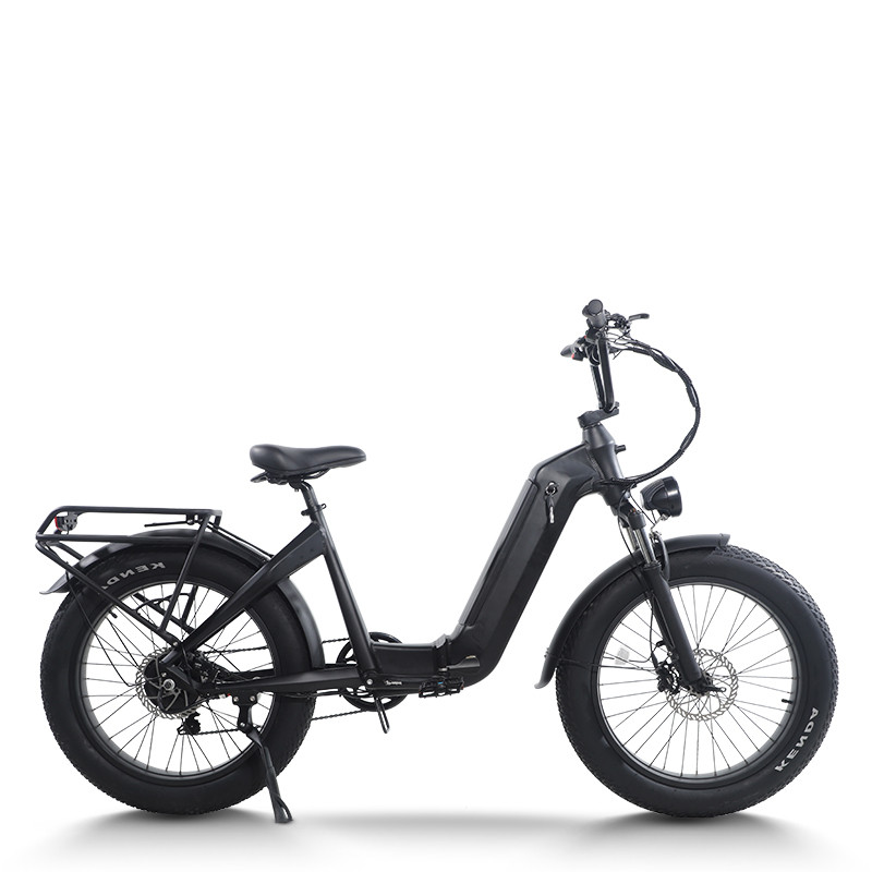 Step-Thru Fat Tire E-bike Hidden Battery Rear Hanger & Fender 500W-1000W Motor 48V Battery OEM/ODM