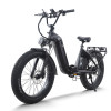 Step-Thru Fat Tire E-bike Hidden Battery Rear Hanger & Fender 500W-1000W Motor 48V Battery OEM/ODM