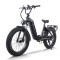 Step-Thru Fat Tire E-bike Hidden Battery Rear Hanger & Fender 500W-1000W Motor 48V Battery OEM/ODM