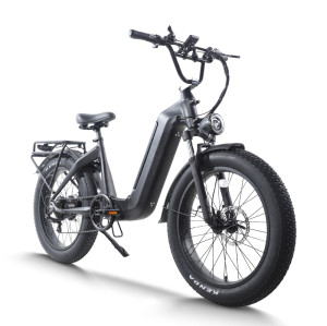 Step-Thru Fat Tire E-bike Hidden Battery Rear Hanger & Fender 500W-1000W Motor 48V Battery OEM/ODM