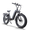 Step-Thru Fat Tire E-bike Hidden Battery Rear Hanger & Fender 500W-1000W Motor 48V Battery OEM/ODM