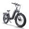 Step-Thru Fat Tire E-bike Hidden Battery Rear Hanger & Fender 500W-1000W Motor 48V Battery OEM/ODM