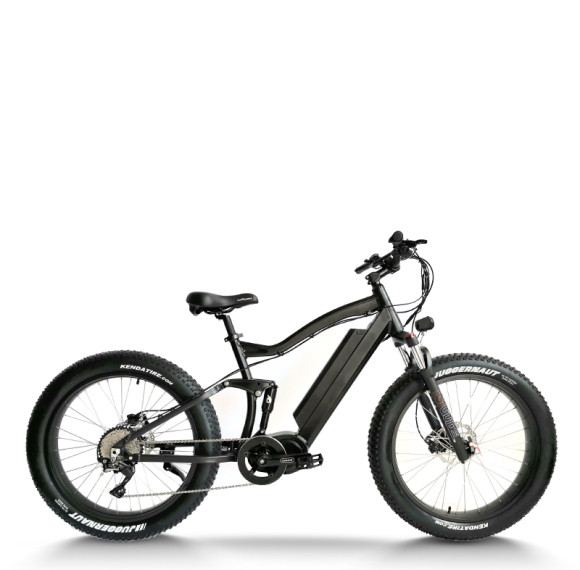 Fat Tire eBike Waterproof Dual Suspension Removable Battery 750W-1000W Motor 48V Battery OEM/ODM