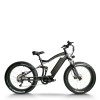 Fat Tire eBike Waterproof Dual Suspension Removable Battery 750W-1000W Motor 48V Battery OEM/ODM
