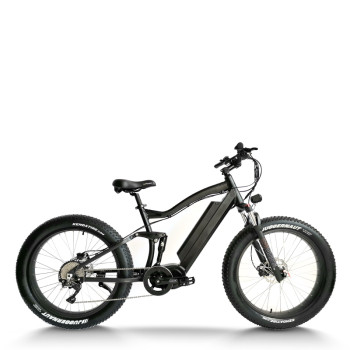 Fat Tire eBike Waterproof Dual Suspension Removable Battery 750W-1000W Motor 48V Battery OEM/ODM