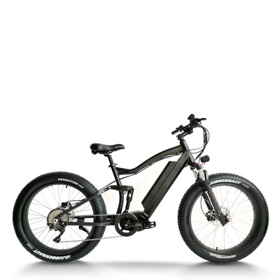 Fat Tire eBike Waterproof Dual Suspension Removable Battery 750W-1000W Motor 48V Battery OEM/ODM