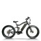 Fat Tire eBike Waterproof Dual Suspension Removable Battery 750W-1000W Motor 48V Battery OEM/ODM