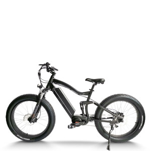 Fat Tire eBike Waterproof Dual Suspension Removable Battery 750W-1000W Motor 48V Battery OEM/ODM