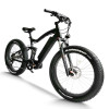 Fat Tire eBike Waterproof Dual Suspension Removable Battery 750W-1000W Motor 48V Battery OEM/ODM