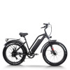 Fat Tire ebike Step-Thru Frame Removable Battery Rear Hanger Fender Motor 48V Battery OEM/ODM