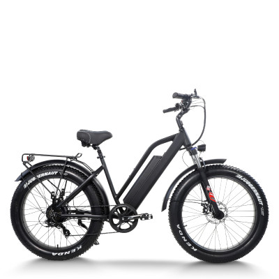 Fat Tire ebike Step-Thru Frame Removable Battery Rear Hanger Fender Motor 48V Battery OEM/ODM