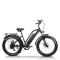 Fat Tire ebike Step-Thru Frame Removable Battery Rear Hanger Fender Motor 48V Battery OEM/ODM