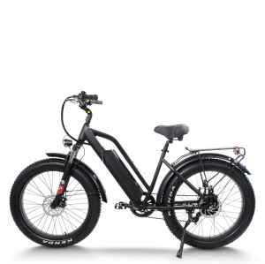 Fat Tire ebike Step-Thru Frame Removable Battery Rear Hanger Fender Motor 48V Battery OEM/ODM