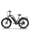 Fat Tire ebike Step-Thru Frame Removable Battery Rear Hanger Fender Motor 48V Battery OEM/ODM