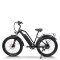 Fat Tire ebike Step-Thru Frame Removable Battery Rear Hanger Fender Motor 48V Battery OEM/ODM