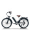 Fat Tire ebike Step-Thru Frame Removable Battery Rear Hanger Fender Motor 48V Battery OEM/ODM