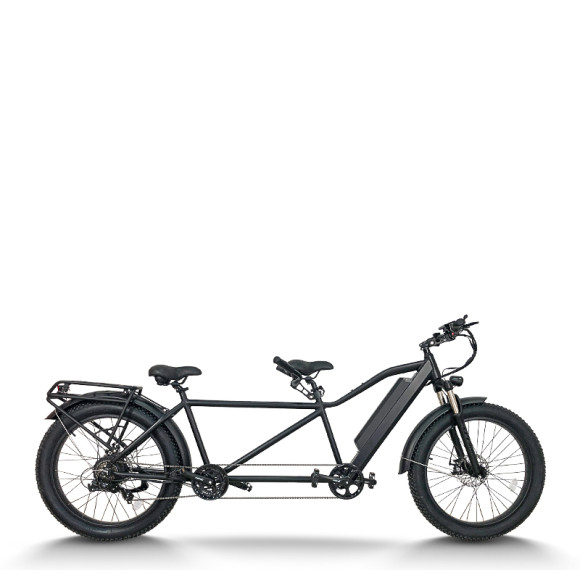 Fat Tire Electric Tandem Bike Dual Seat & Pedal Rear Hanger & Fender 500W-1000W Motor 48V Battery