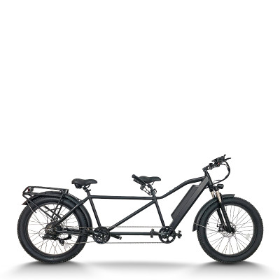 Fat Tire Electric Tandem Bike Dual Seat & Pedal Rear Hanger & Fender 500W-1000W Motor 48V Battery