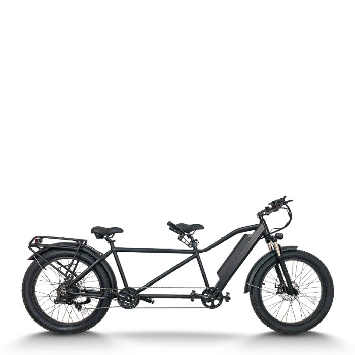 Fat Tire Electric Tandem Bike Dual Seat & Pedal Rear Hanger & Fender 500W-1000W Motor 48V Battery