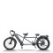 Fat Tire Electric Tandem Bike Dual Seat & Pedal Rear Hanger & Fender 500W-1000W Motor 48V Battery