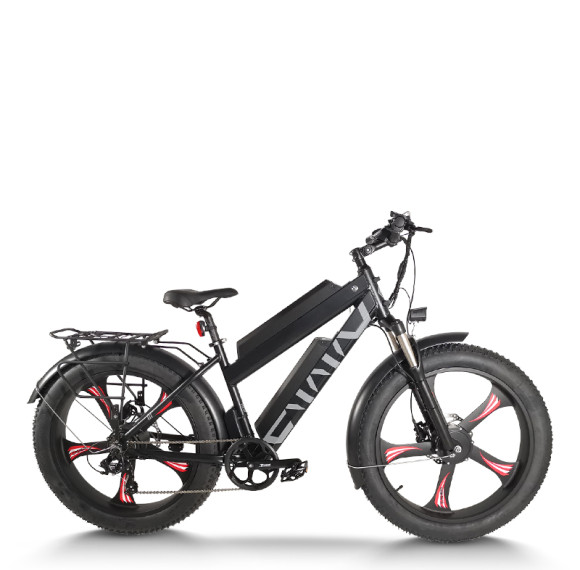Dual Motor Fat Tire E-bike All-in-One Wheel Rear Hanger & Fender 500W*2 Motors 48V Batteries OEM/ODM