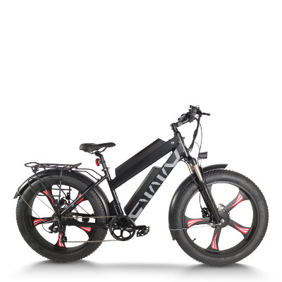 Dual Motor Fat Tire E-bike All-in-One Wheel Rear Hanger & Fender 500W*2 Motors 48V Batteries OEM/ODM