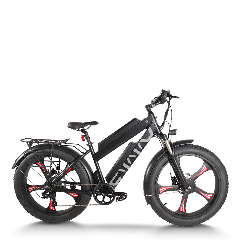 Dual Motor Fat Tire E-bike All-in-One Wheel Rear Hanger & Fender 500W*2 Motors 48V Batteries OEM/ODM