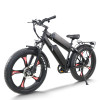 Dual Motor Fat Tire E-bike All-in-One Wheel Rear Hanger & Fender 500W*2 Motors 48V Batteries OEM/ODM