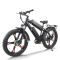 Dual Motor Fat Tire E-bike All-in-One Wheel Rear Hanger & Fender 500W*2 Motors 48V Batteries OEM/ODM