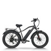 Fat Tire E-Bike Removable Battery Rear Hanger & Fender Wide Cushion 500W-1000W Motor