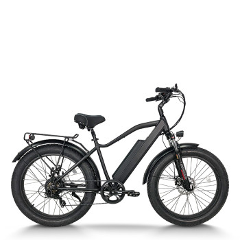Fat Tire E-Bike Removable Battery Rear Hanger & Fender Wide Cushion 500W-1000W Motor