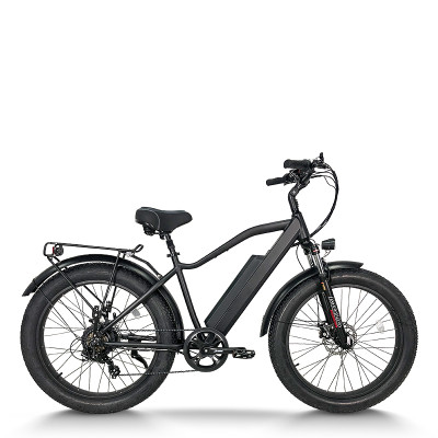 Fat Tire E-Bike Removable Battery Rear Hanger & Fender Wide Cushion 500W-1000W Motor