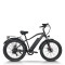 Fat Tire E-Bike Removable Battery Rear Hanger & Fender Wide Cushion 500W-1000W Motor