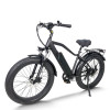 Fat Tire E-Bike Removable Battery Rear Hanger & Fender Wide Cushion 500W-1000W Motor