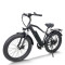 Fat Tire E-Bike Removable Battery Rear Hanger & Fender Wide Cushion 500W-1000W Motor