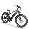 Fat Tire E-Bike Removable Battery Rear Hanger & Fender Wide Cushion 500W-1000W Motor