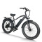Fat Tire E-Bike Removable Battery Rear Hanger & Fender Wide Cushion 500W-1000W Motor