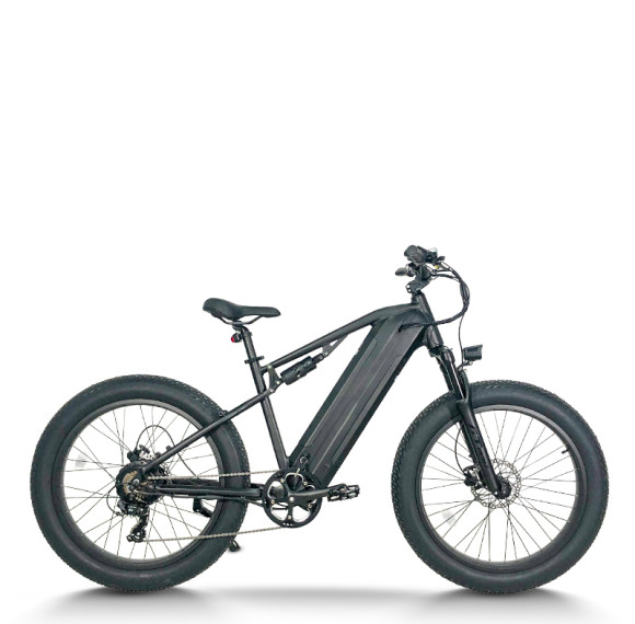 Fat Tire Electric Bike Waterproof & Dustproof 500W-750W Motor 2*48V15.6Ah Battery OEM/ODM
